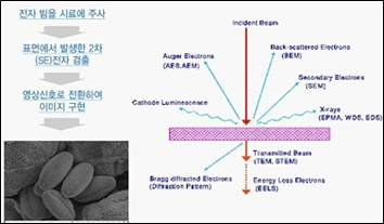 스크린샷 2025-09-22 205321.png